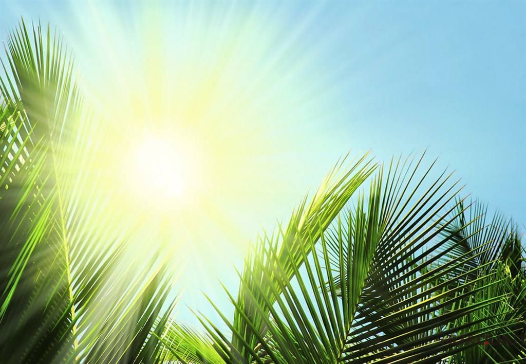 “刻毒”夏季帶你體會“烈日灼心”，華全動力為你送去清涼一夏